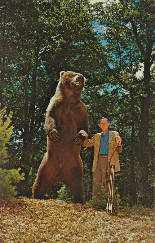 Fred Bear Museum  and Bear Mountain - Old Postcard And Promos (newer photo)